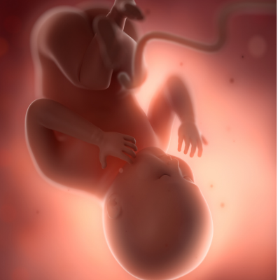 grossesse etiopathie (6)